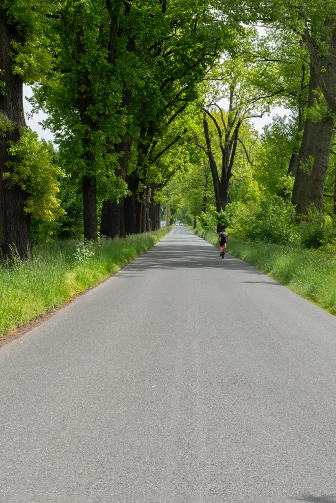 Allee der drei Staaten_3981 (1)