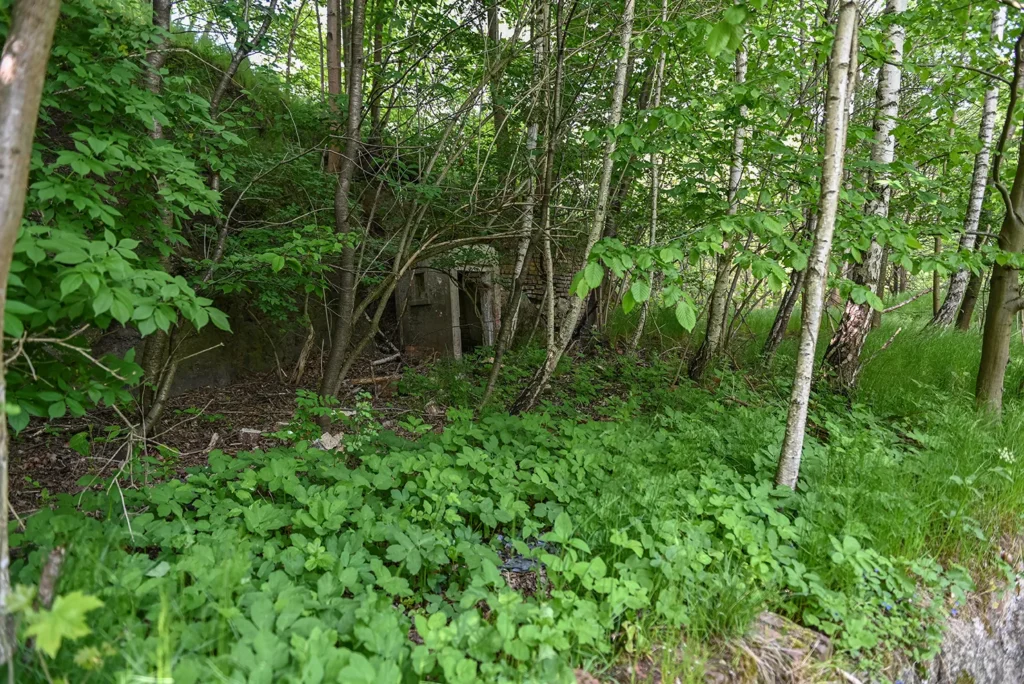 verlassenes Dorf – Weigsdorf – Wigancice Żytawskie_5933