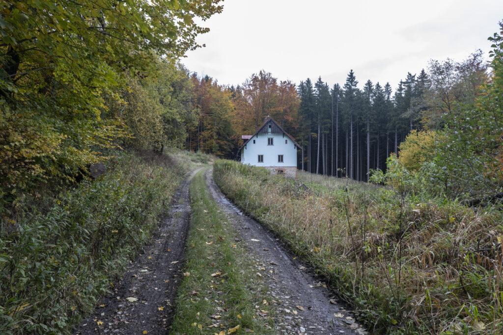 Landzungenprojekt – Jauernig