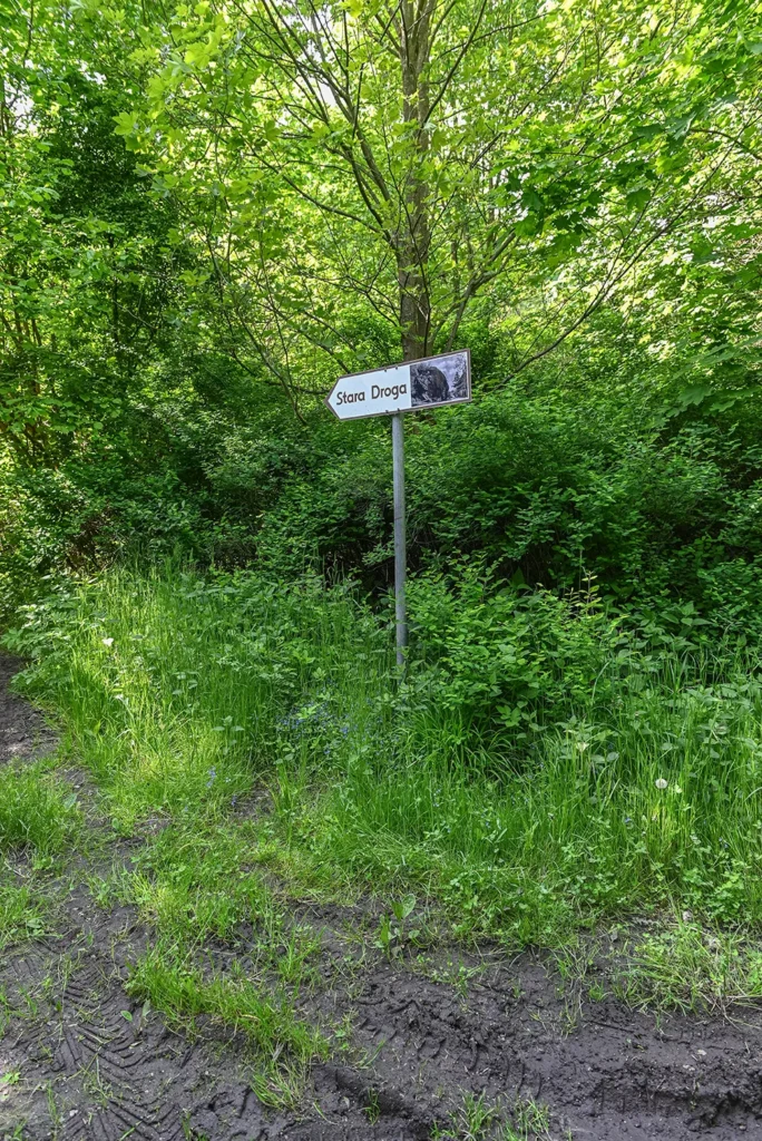 verlassenes Dorf – Weigsdorf – Wigancice Żytawskie_5926